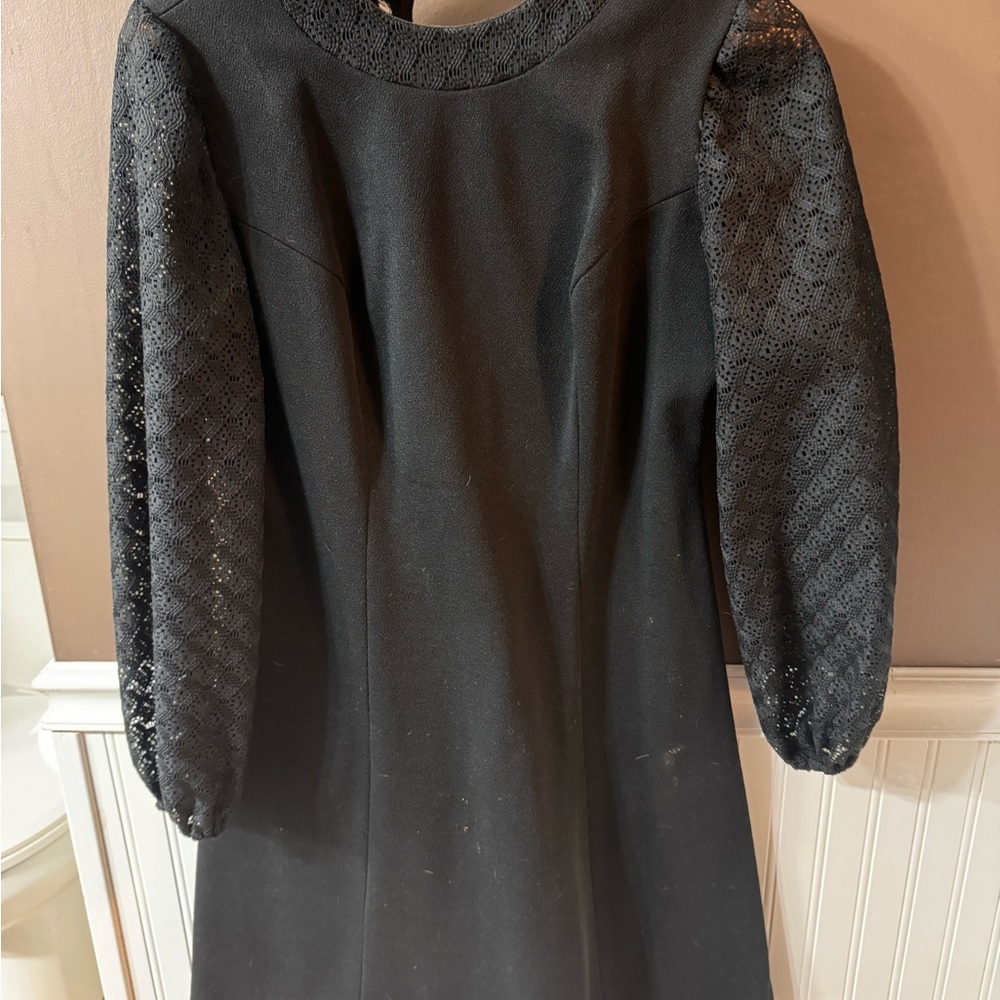 Elegant Black Lace Sleeve Dress